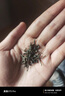 中茶茶葉猴王六種茶葉組合(6袋共600·g) 經(jīng)典口糧茶送禮精美裝 中茶猴王組合禮盒600·g 曬單實拍圖