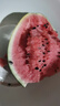 正宗黑籽麒麟西瓜應(yīng)季新鮮水果新鮮現(xiàn)摘沙瓤薄皮麒麟瓜 麒麟西瓜 6-7斤 1枚裝 曬單實(shí)拍圖