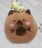 物枕居卡皮巴拉水豚午睡枕趴睡枕辦公室午休神器抱枕女生學(xué)生趴桌子睡覺 圓眼【小鴨子】 30*35cm午睡枕 曬單實(shí)拍圖
