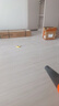 創(chuàng)一多功能家用清潔除塵器鼓風(fēng)機(jī)工業(yè)吹風(fēng)機(jī)吸塵器電動工具 定速款吹吸兩用+出廠標(biāo)配 曬單實拍圖