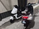 大隆鷹豪手機智能高速小九電動車70碼電摩72V大號外賣長跑大功率電瓶車長跑長續(xù)航電動摩托車M85M95跑單 頂配雙碟剎70碼+智能NFC+TCS防滑 裸車不含電池及充電器通用60/72V 曬單實拍圖