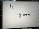 蘋果Apple Pencil 一代/二代 蘋果手寫筆二手蘋果手寫筆/電容筆/觸控筆二手平板電腦配件 蘋果Pencil 一代手寫筆 單筆【99新】 曬單實(shí)拍圖