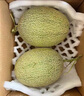 京鮮生 新疆哈密瓜/西州蜜 4粒 凈重10斤起 單果2.5斤起 生鮮水果禮盒 曬單實拍圖