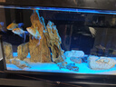 森森（SUNSUN）魚缸HEJ原廠標(biāo)配水泵led燈金麟魚缸LE水泵LED燈配件 LE-480B標(biāo)配的水泵機身一個 曬單實拍圖