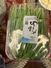 小湯山 韭菜 約250g 新鮮蔬菜基地種植當(dāng)天采摘 曬單實拍圖