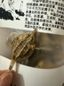 海燕中草藥材500g正宗海麻雀海燕干貨海燕子天然煲湯泡酒料 海燕【50克】 曬單實(shí)拍圖