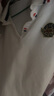 齊齊熊男童套裝夏裝寶寶純棉短袖兒童polo衫童裝男孩運(yùn)動(dòng)校服夏季 曬單實(shí)拍圖