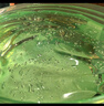 Tondi 蘆薈膠曬后修復(fù)皮膚補(bǔ)水保濕凝膠蘆薈膏面霜護(hù)膚品*2罐裝 曬單實(shí)拍圖