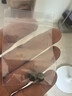 福進家和田玉珠子散珠晴水玉石老型桶珠羊脂玉手串單珠DIY手鏈配珠材料 深晴水和田玉-7*8MM*1顆 曬單實拍圖