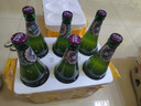 吐魯克新疆特產(chǎn)12度精釀原漿吐魯克啤酒/白啤麥芽發(fā)酵裝扎啤600ml渾濁型 吐魯克精釀原漿啤酒 600mL 6瓶 曬單實(shí)拍圖