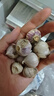 京喜自營云南紫皮獨頭蒜干蒜高原珍珠蒜新鮮蔬菜調(diào)料 優(yōu)惠 3斤 單果2cm左右 曬單實拍圖
