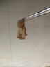 東來順 內(nèi)蒙原切脆骨卷300g 生鮮羊肉  涮煮火鍋生鮮食材 曬單實拍圖