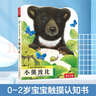 當當正版童書(shū) 亮麗精美觸摸書(shū)系列（全4冊）給孩子的感官認知課 低幼認知繪本 小兔比利仿真觸感觸摸書(shū)【0-3歲】 觸摸書(shū)|小熊波比 曬單實(shí)拍圖