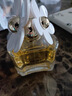 馬克雅可布Daisy小雛菊女士淡香水持久留香香氛禮女生禮物 100ml 小雛菊75ml 曬單實拍圖