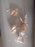 【百萬斤】【急賣】大蒜頭批發(fā)干蒜紫皮大蒜頭干蒜特大新鮮大蒜 新干蒜5斤保質(zhì)沖量-自然晾曬 農(nóng)家 整箱3斤 大果【果徑4cm起】 曬單實拍圖