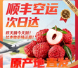 四叔公果蔬廣東增城仙進(jìn)奉荔枝【順豐空運(yùn)-多地次日達(dá)】桂花味新鮮水果禮盒 商超一級(jí)果｜單果15-18g｜清甜 3斤嘗鮮裝（實(shí)惠劃算）凈2.5斤 曬單實(shí)拍圖