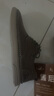 公羊皮鞋男春夏季透氣真皮男鞋軟底輕便商務(wù)休閑鞋子男 卡其 43  曬單實(shí)拍圖