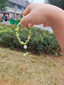 UOSU貓爪手鏈招財(cái)貓可愛(ài)串珠手鏈小眾設(shè)計(jì)ins學(xué)生菩提子手串閨蜜禮物 小梨渦貓爪手持【11-12mm盒裝】 曬單實(shí)拍圖