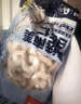 鮮京采 厄瓜多爾白蝦 凈重3斤/盒 特大號(hào)20-30規(guī)格   30-45只/盒 曬單實(shí)拍圖