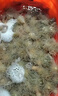 松寶（sobo）魚(yú)缸增氧泵家用養(yǎng)魚(yú)氧氣泵充氧機(jī)打氧泵魚(yú)缸制氧機(jī)增氧機(jī)10W四孔 曬單實(shí)拍圖