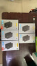 品勝 cfa讀卡器USB3.2CFeA卡讀卡器10G傳輸Type-A卡適用蘋(píng)果15/16雷克沙天碩索尼佳能尼康相機(jī)存儲(chǔ)卡 曬單實(shí)拍圖