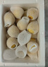 京覓 福建黃金百香果欽蜜9號 新鮮水果生鮮 3斤(單果60-70g) 源頭直發(fā) 曬單實拍圖