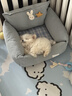 柴墨精品比熊幼犬雙血統(tǒng)茶杯犬韓系寵物狗活體家養(yǎng)白色卷毛小型犬 寵物級 【精品比熊】 曬單實拍圖