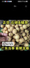 廣東高州儲良新鮮龍眼5/10斤現(xiàn)摘現(xiàn)發(fā)正宗桂圓野生石小硤龍眼整箱 3斤 裝儲良龍眼丨爽嫩脆甜 曬單實拍圖