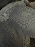 歐迪芬內(nèi)衣女小胸聚攏無(wú)痕蕾絲文胸溫變內(nèi)杯軟支撐上托側(cè)收無(wú)鋼圈胸罩 曬單實(shí)拍圖