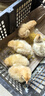 小雞活寵物小雞活苗家養(yǎng)觀賞小黃雞網(wǎng)紅萌寵雞活體幼崽迷你雞幼苗 寵物小黃雞2只 曬單實拍圖