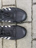 阿迪達斯 （adidas）中性TERREX DAROGA TWO 13 H.RDY戶外鞋 HP8636 44 曬單實拍圖