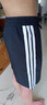 阿迪達斯 （adidas）男子 運動型格系列 M 3S CHELSEA 短褲 JE6436 黑色 S  曬單實拍圖