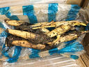 惜林園食用蓮藕苗種根池田大型蔬菜荷花苗粉脆藕種根苗菜瓜 蓮子藕苗5棵【新藕苗】 裸根不帶土 曬單實(shí)拍圖