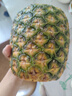 佳農(nóng) 黑鉆菠蘿1粒裝 菲律賓鳳梨 凈重2斤起 新鮮水果 源頭直發(fā) 包郵 曬單實(shí)拍圖
