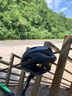 SPECIALIZED閃電 ALIGN II MIPS 男女休閑通勤山地公路自行車(chē)騎行頭盔 黑色/黑色反光（亞洲版） M 曬單實(shí)拍圖