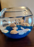 【泰國進(jìn)口精品斗魚(yú)】觀(guān)賞魚(yú)苗金魚(yú)熱帶好養耐活體淡水半月婚紗魚(yú) S級*藍色公下單送魚(yú)食 曬單實(shí)拍圖