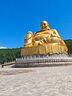 佳能（Canon） r6二代 全畫幅微單相機 EOS R6 Mark II 4K數碼高清旅游vlog攝影機身 r62二代相機 專業(yè)級微單 EOS R6II單機 官方標配【不含內存卡等必要配件 推薦選套 曬單實拍圖