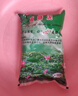 碗蓮種藕根莖帶芽小型花苗水培植物四季室內(nèi)荷花盆栽睡蓮花卉開花 碗蓮專用塘泥河 否 曬單實拍圖
