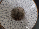 紫菜蝦皮湯包脫水蔬菜方便懶人速食渠道專享2 50袋/共1大包 曬單實(shí)拍圖