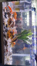 松寶（sobo）魚缸多功能過(guò)濾器水泵抽水三合一循環(huán)過(guò)濾增氧吸便 AQ-6100F款6W 曬單實(shí)拍圖