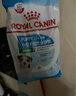 皇家狗糧 幼犬狗糧 寵物 小型犬 MIJ31 全價犬糧 2-10月 2KG 曬單實拍圖