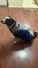 SLPC狗狗衣服冬天中大型犬柯基馬犬狗棉衣保暖反光可牽引德牧寵物服裝 黑色 6XL（約62到80斤） 曬單實拍圖