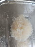 椴木小銀耳新鮮干貨古田無硫小朵白木糯雪銀耳批發(fā) [古田農(nóng)家精選]高山:椴木小銀 [#當(dāng)季新貨#]1斤裝(300g) 曬單實(shí)拍圖