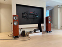 AITIA愛嘉XT8F 家用HiFi發(fā)燒級雙8寸三分頻無源落地音箱實木箱體天朗喇叭大功率高保真同軸音響一對 XT8F黑胡桃 曬單實拍圖