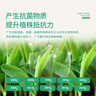 史丹利枯草芽孢桿菌有機(jī)肥生物復(fù)合養(yǎng)花肥通用花卉月季蔬菜茉莉花2.5斤 曬單實(shí)拍圖