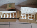 農(nóng)家散養(yǎng)谷物土雞蛋50克/枚 10枚 曬單實(shí)拍圖