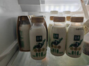 伊利金典鮮牛奶 全脂分享裝巴氏殺菌 低溫牛奶 235ml*4 曬單實拍圖