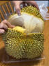鮮其泰國金枕榴蓮樹(shù)熟新鮮水果整箱批發(fā)多地次日達進(jìn)口巴掌榴蓮鮮果 A級【普通果型】人工挑選 2-3斤凈重【30年老樹(shù)干包果】包2-3房 曬單實(shí)拍圖