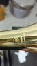 雅馬哈YAMAHA日本雅馬哈小號YTR-8335GS降B調初學(xué)考級演奏樂(lè )器專(zhuān)用小號 2335金色款（布箱） 曬單實(shí)拍圖