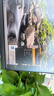 華碩VG27AQL5A小金剛27Max 27英寸顯示器2K 180Hz顯示器超頻210Hz FastIPS FreeSync 0.3ms響應(yīng)HDR400 曬單實拍圖